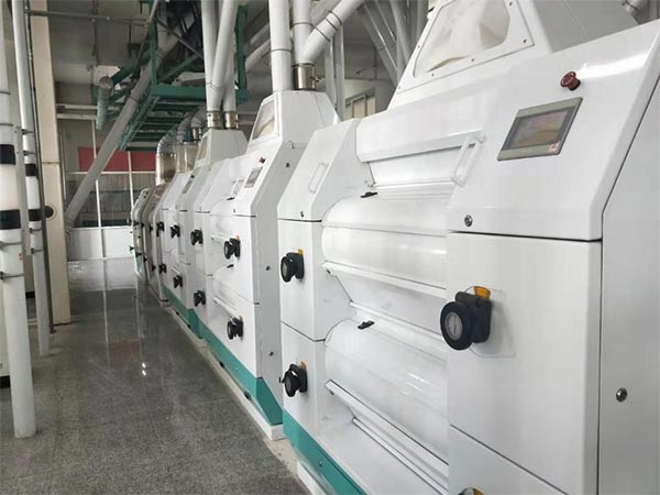 100噸級面粉加工設(shè)備安徽合肥客戶加工現(xiàn)場