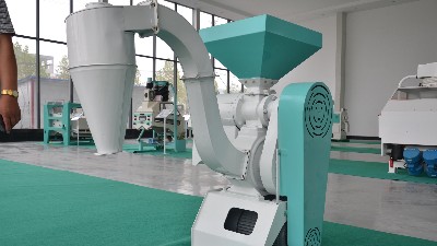農村小雜糧加工行業(yè)的前景怎么樣？