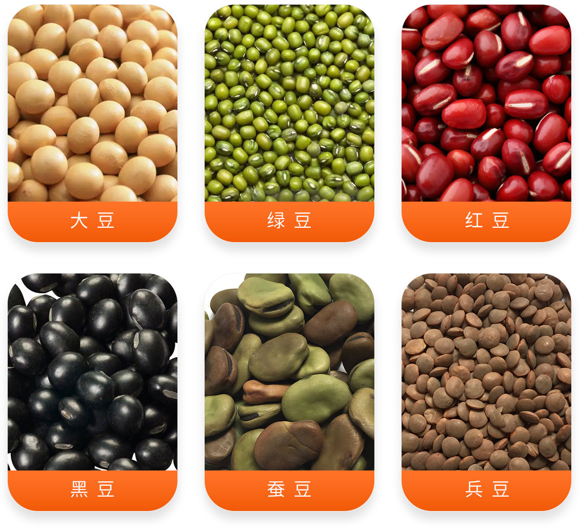 豆類清理精選成套設備產(chǎn)成品圖