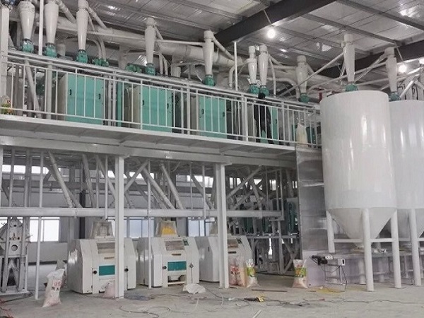 蕎麥面加工設備多曬錢一套?生產工藝不同、配置不同。價格也不同